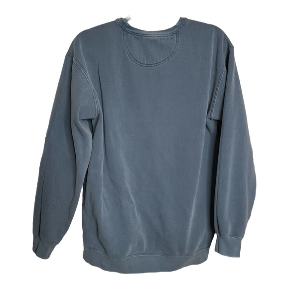 “Feelin Phippsy Sweatshirt Comfort Colors- “feeling phillipsy” - Picture 3 of 4